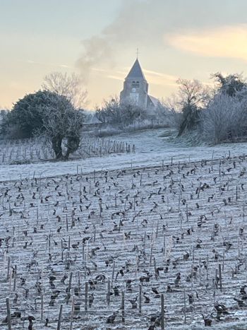 Nos actus - Famille Grossot